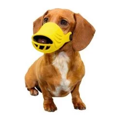 Artero Silicone Muzzles Set Of 4 11 Artero Silicone Muzzles Set Of 4 -Pet Supply Store amuzzle 2 1 1