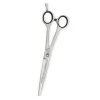 Artero Satin Curvy 8.5in Shears