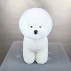 Artero Bichon Dog Model And Fur Kit 8 Artero Bichon Dog Model And Fur Kit -Pet Supply Store ay128 4