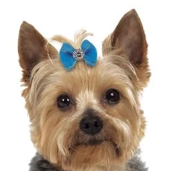 Aria Maddie Dog Bows Canister, 100 Pcc -Pet Supply Store dt056 99 003 1