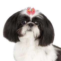 Aria Bonita Bows 100 Count -Pet Supply Store dt1020 99 003