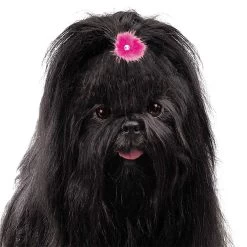 Aria Sparkle Feather Bows 100-Piece Canisters 12 Aria Sparkle Feather Bows 100-Piece Canisters -Pet Supply Store dt1058 99 006