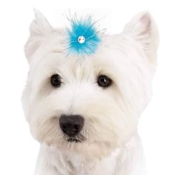 Aria Sparkle Feather Bows 100-Piece Canisters 13 Aria Sparkle Feather Bows 100-Piece Canisters -Pet Supply Store dt1058 99 007