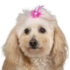 Aria Feather Bow Canister 100Pc 13 Aria Feather Bow Canister 100Pc -Pet Supply Store dt160 99 007