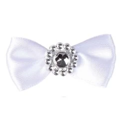 Aria Pixie Bow Canister 100Pc -Pet Supply Store dt163 99 004