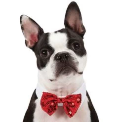 Aria Red And Black Bowtie Clip Strips 12-Piece -Pet Supply Store dt5210 12 1