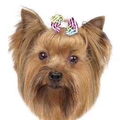 Aria Zoey Bows Canister, 48 Pc -Pet Supply Store dt5642 48 003