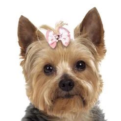 Aria Molly Bows Canister 45 Pc -Pet Supply Store dt5645 45 003