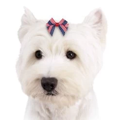 Aria Americana Pup Bow Canister 48 Pieces 6 Aria Americana Pup Bow Canister 48 Pieces -Pet Supply Store dt6241 48 003