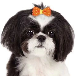 Aria Sunshine Bow Canisters 40 Pcs -Pet Supply Store dt9516 40 003 1