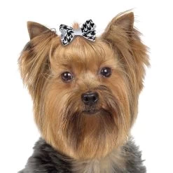 Aria Coco Bows 48-Piece Canisters 5 Aria Coco Bows 48-Piece Canisters -Pet Supply Store dt9988 48 003