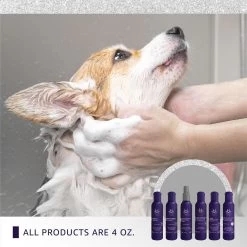 Hydra Experience Sample Set10:1 -Pet Supply Store hsample 05