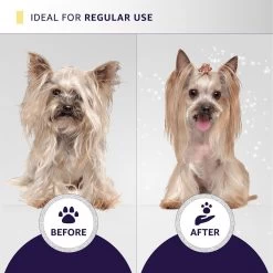 Hydra Experience Sample Set10:1 -Pet Supply Store hsample 08