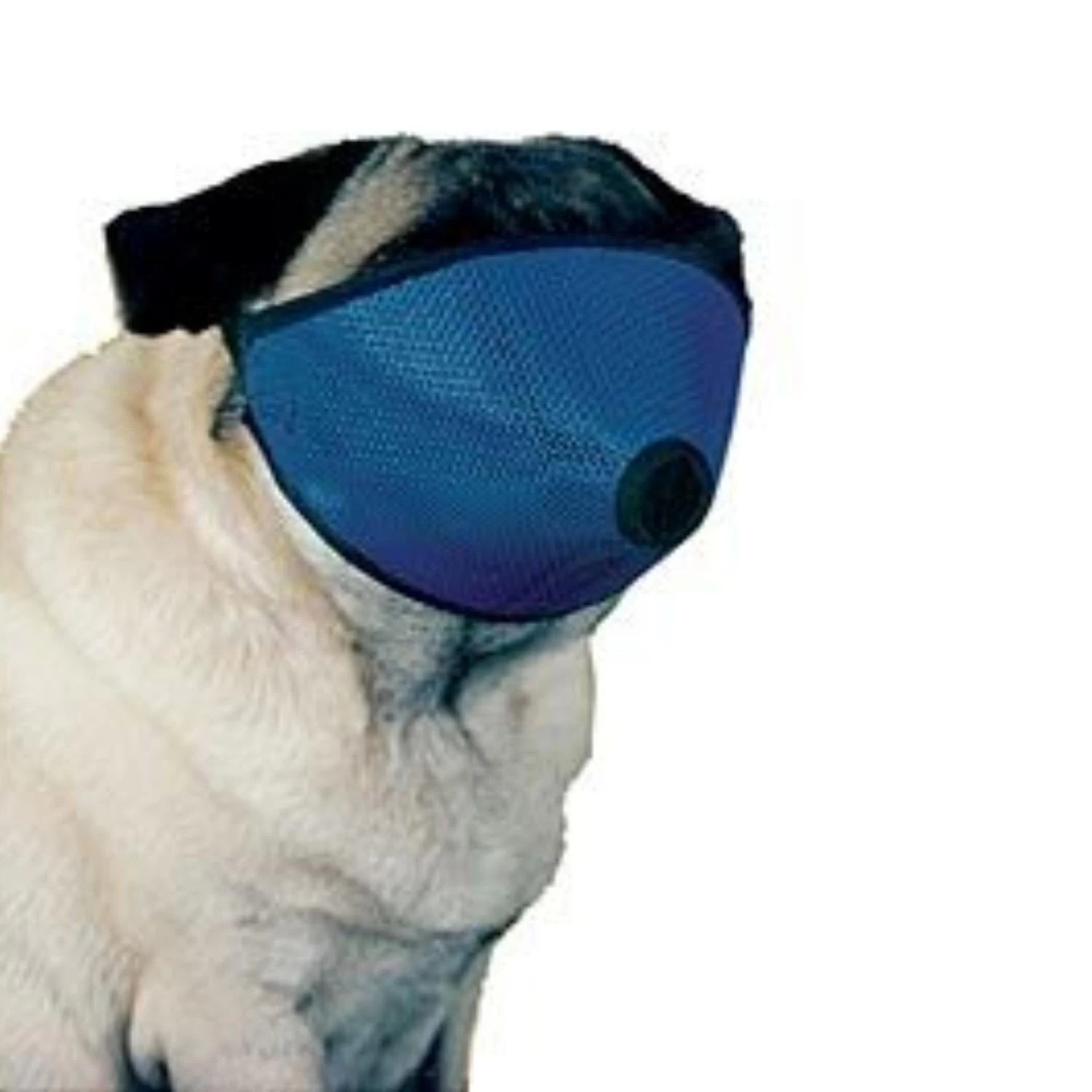 Short Nose Muzzle 2 Short Nose Muzzle - Image 2