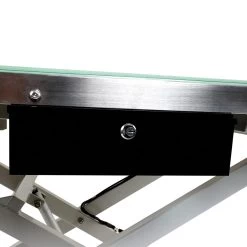 Master Equipment Radiance LED Electric Grooming Table -Pet Supply Store tp0829 47 87 04 1