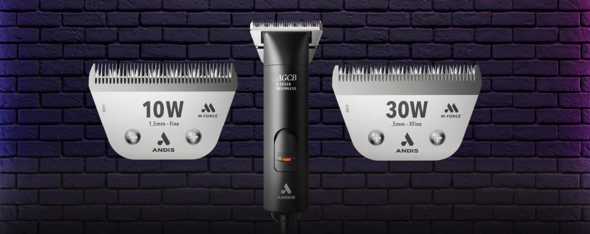 Pet Supply Store -Pet Supply Store dsgdg